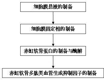 Method for quickly preparing dasyatis akajei cartilage polypeptide angiogenesis inhibitor