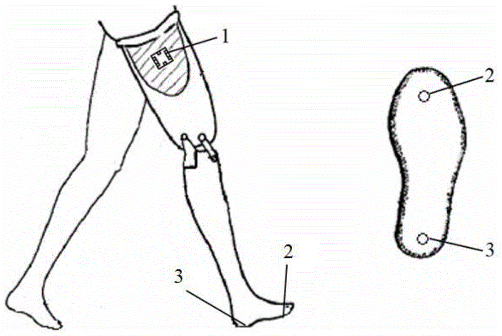 Road Condition Recognition Method for Lower Limb Prosthesis Walking