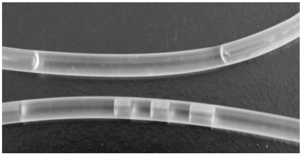 Application of two-dimensional lysozyme nanometer film as antibacterial material