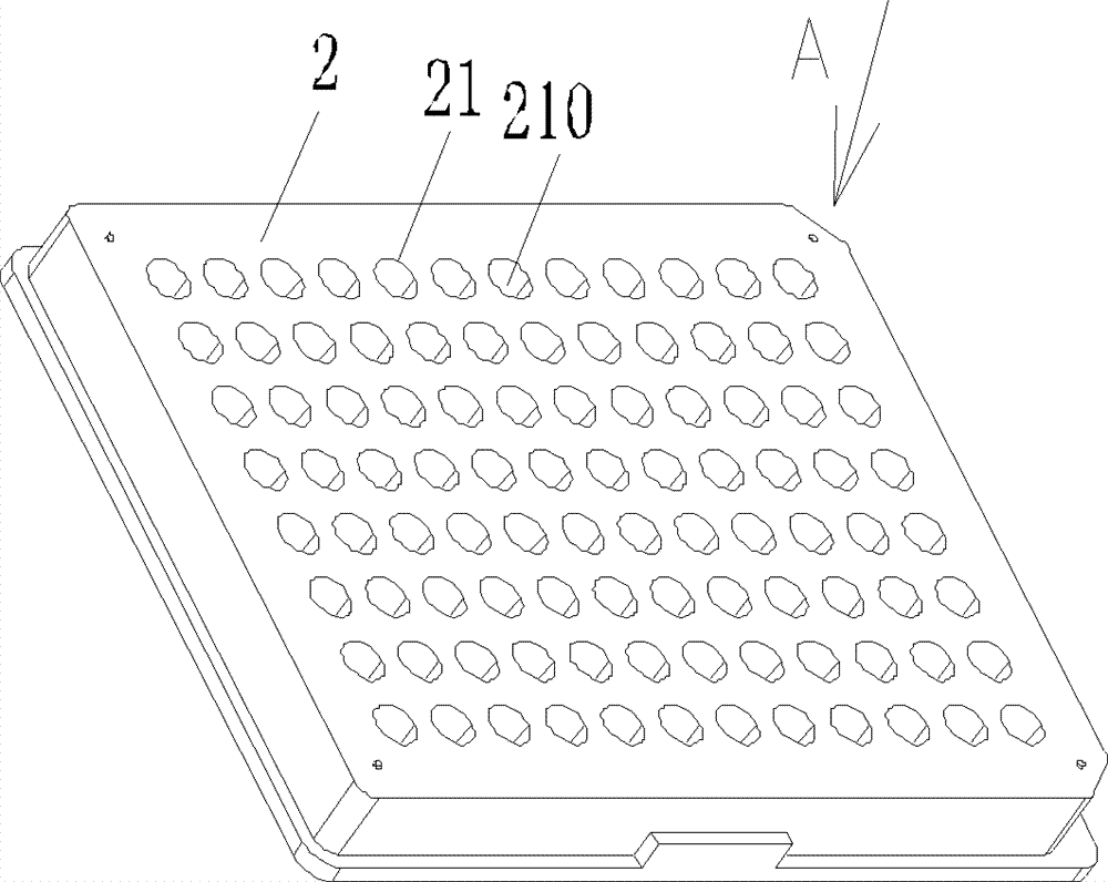 Reagent plate for bacteria measurement, image information acquisition device and measurement system