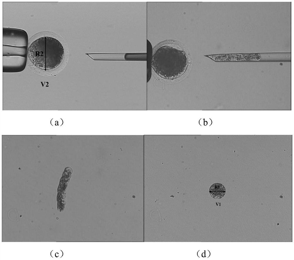 A kind of measuring method of nuclear quantity