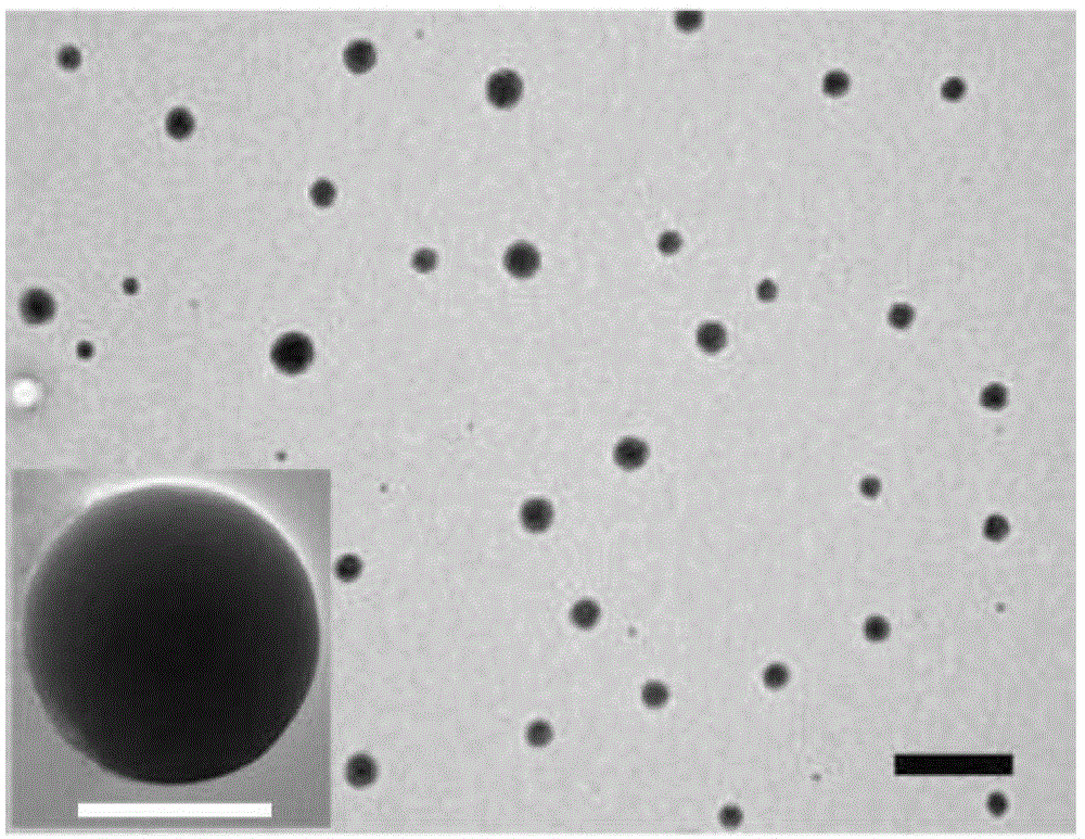 Drug-resistant cisplatin mineralization liquid and preparation method and application thereof