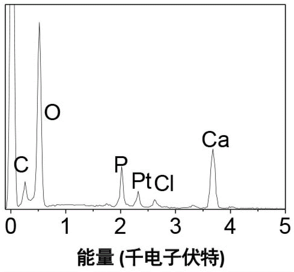 Drug-resistant cisplatin mineralization liquid and preparation method and application thereof