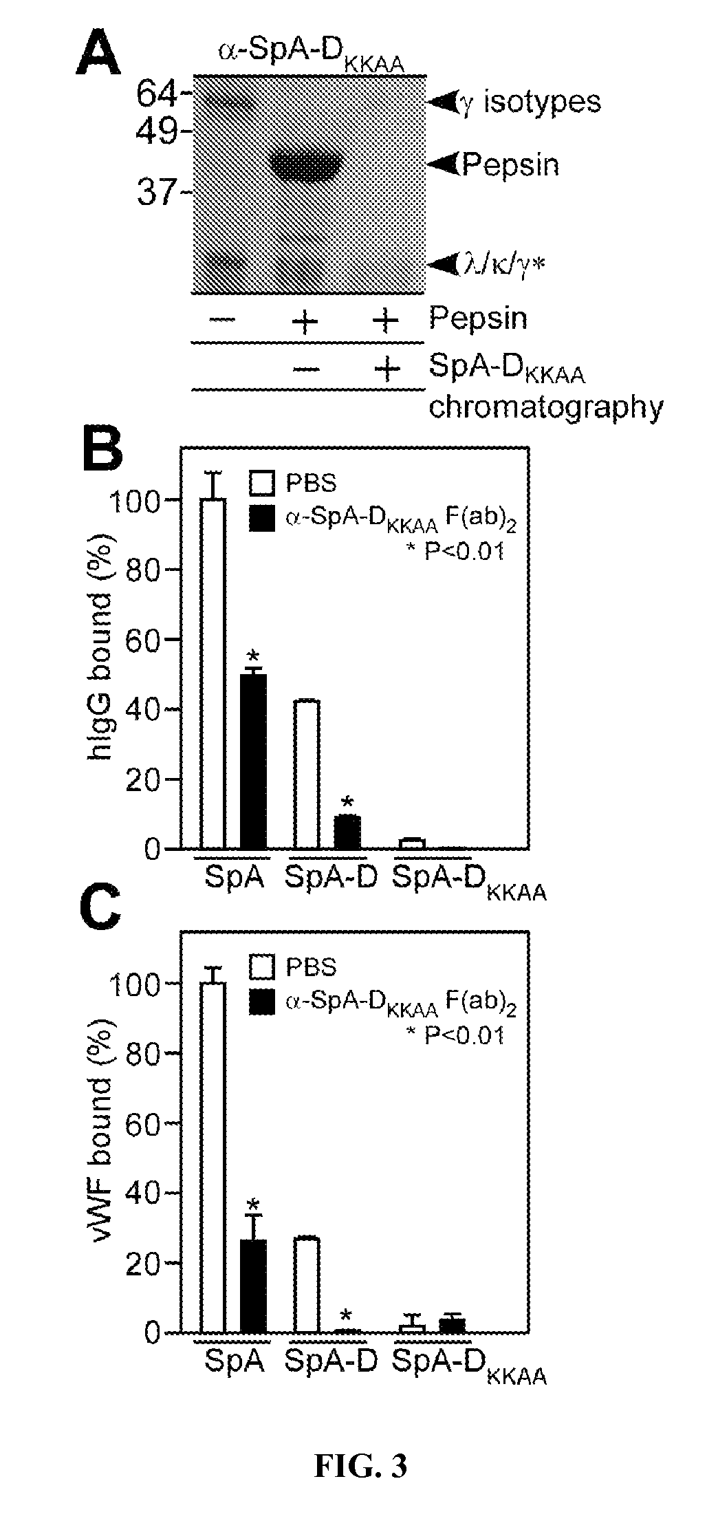 Compositions and methods related to protein A (SpA) variants