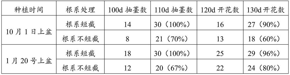 A kind of Hemerocallis promoting cultivation method