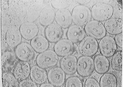 A kind of hollow pva fiber and its preparation method and application