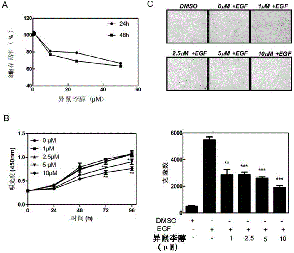 Method for constructing chemical prevention research mode of esophagus cancer