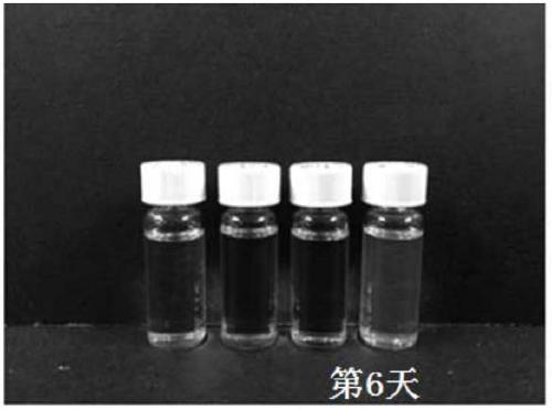 Zinc oxide nanoparticle stable solution, and zinc oxide-polymer nanocomposite stable solution, preparation method and applications thereof
