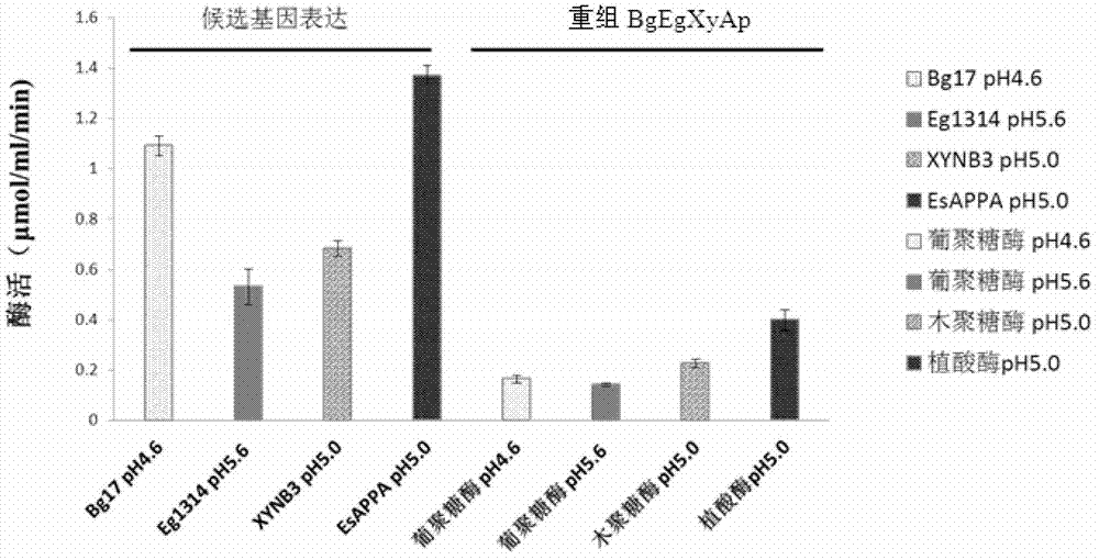 Transgenic vector of salivary gland tissue specific expression foreign protein and transgenic pig and construction method thereof