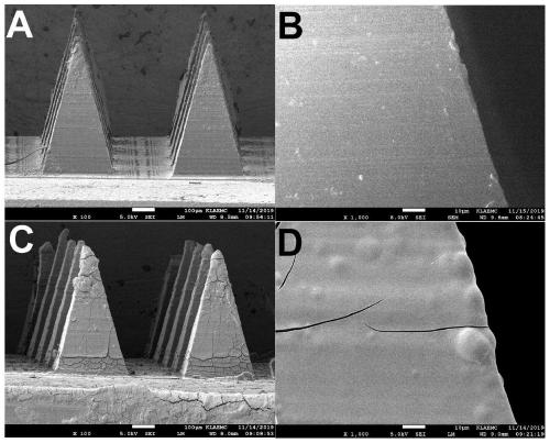 Microneedle array for rapid transdermal delivery of protein drugs and preparation method of microneedle array