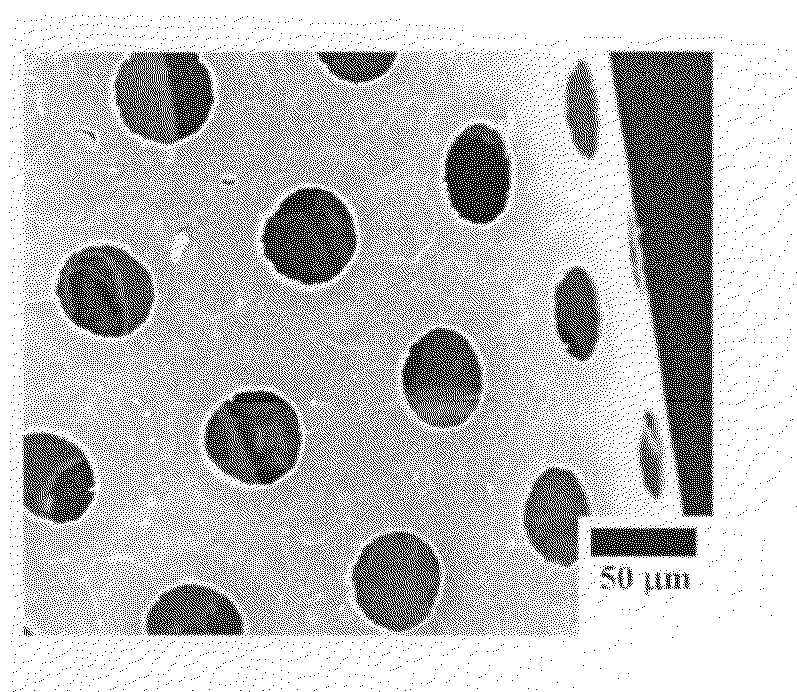 Biocompatible Transparent Sheet, Method for Producing the Same, and Cultured Cell Sheet Used the Same Sheet