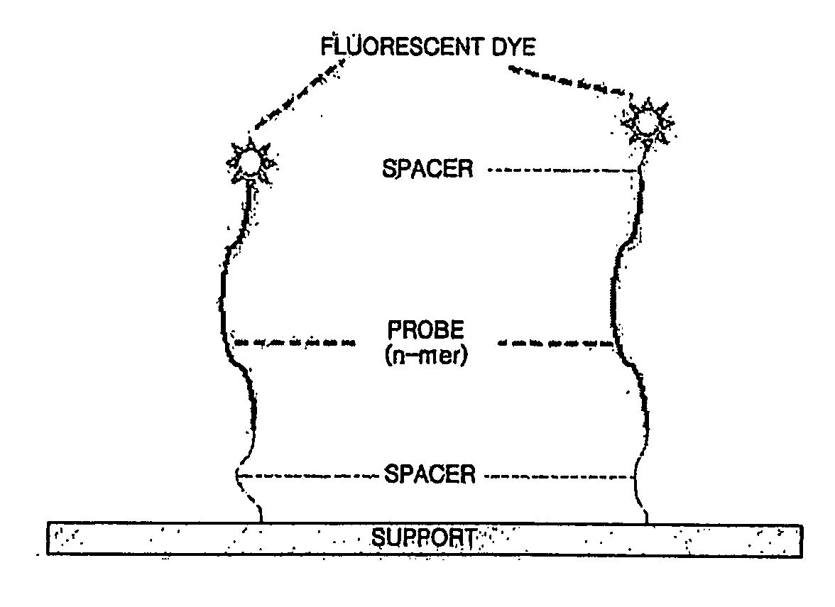 Microarray comprising probes for drug-resistant hepatitis b virus detection, quality control and negative control, and method for detecting drug-resistant hepatitis b virus using the same