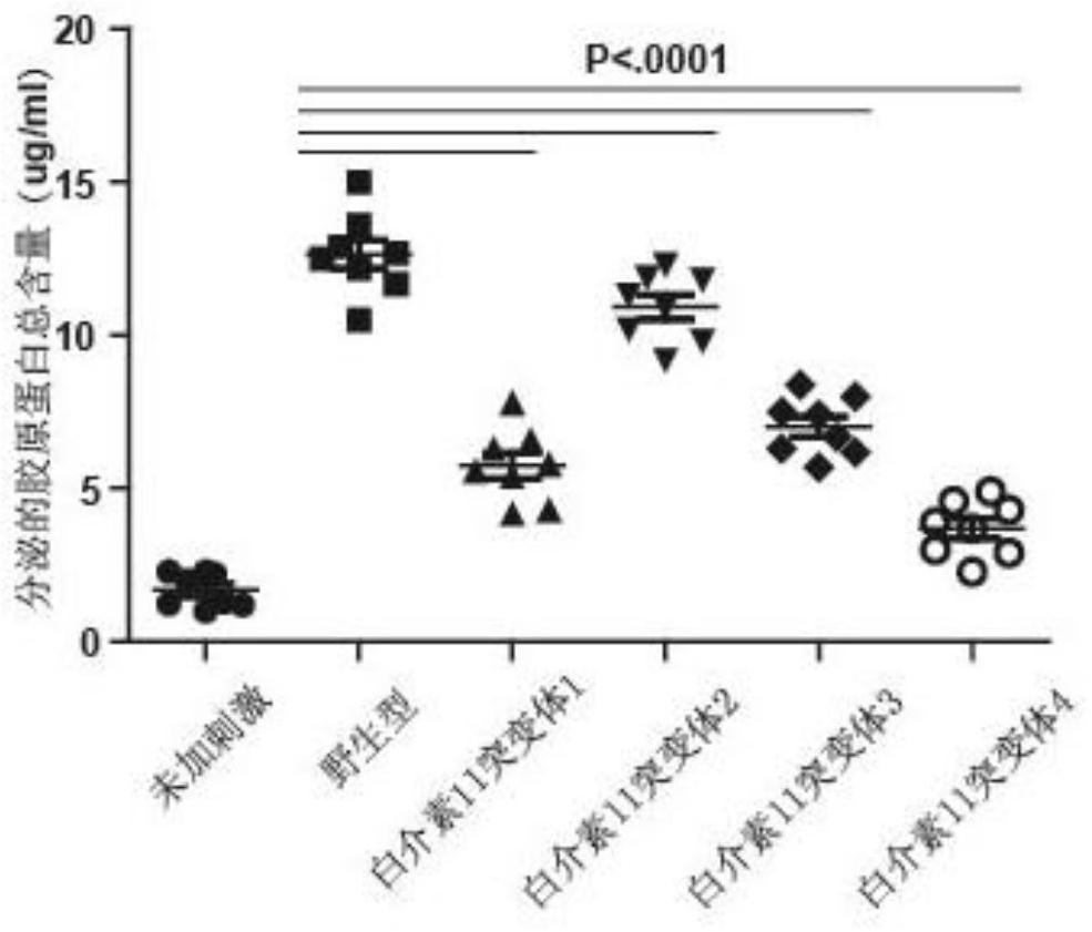 Interleukin-11 mutants and their application in the treatment of liver fibrosis