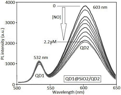 Double-quantum-dot nano complex nitrogen monoxide ratiometric fluorescent probe and preparation method thereof