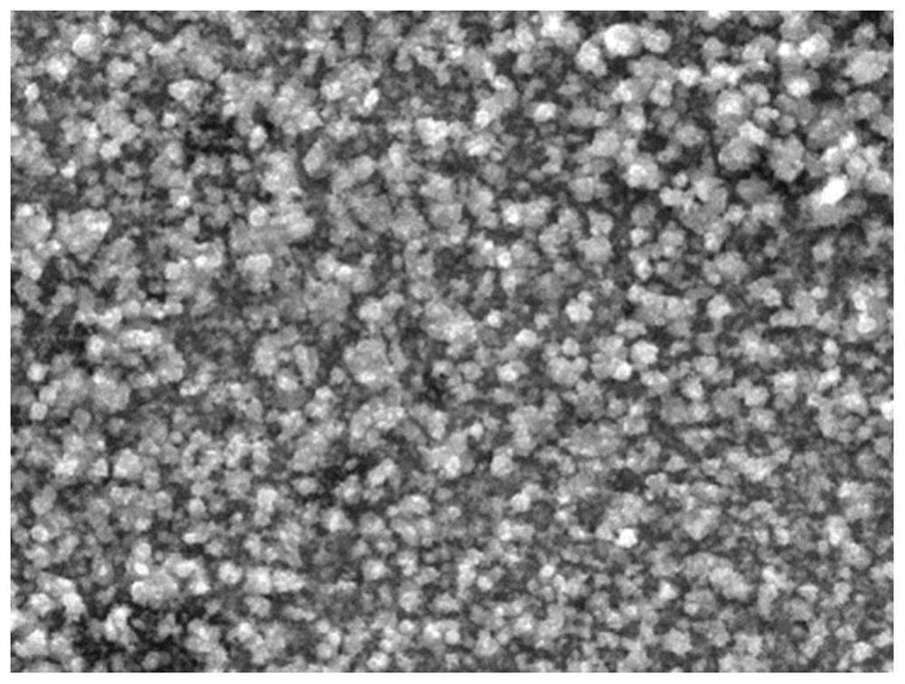 A device and method for simulating the formation of oxide film on the surface of thin strip continuous casting crystal roll