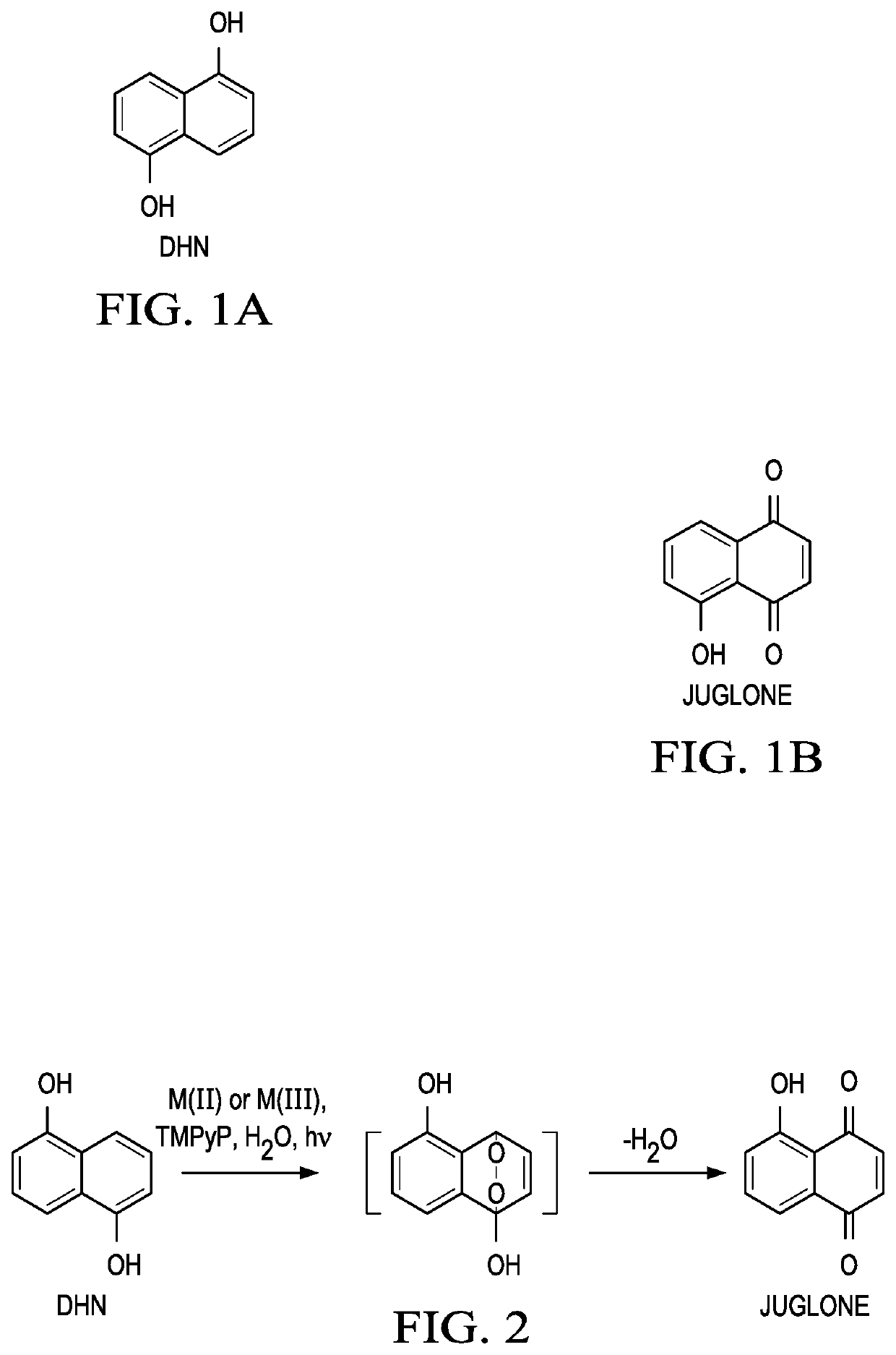 Multifunctional Treatment And Diagnostic Compositions And Methods