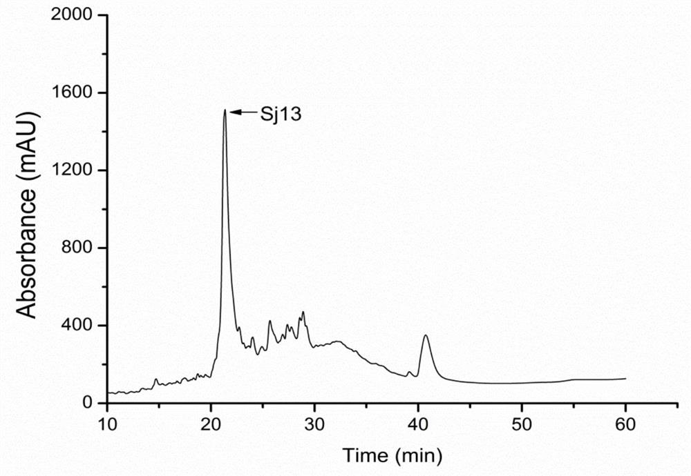 sj13 polypeptide and its application in the preparation of antithrombotic drugs