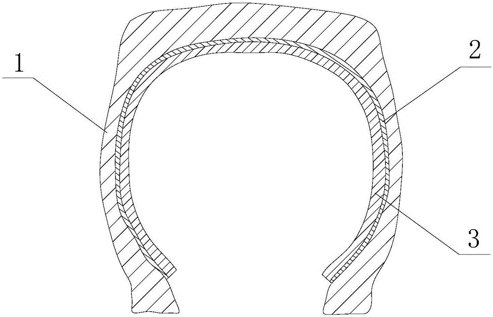 Tire with polyurethane elastomer material inside and preparation method thereof