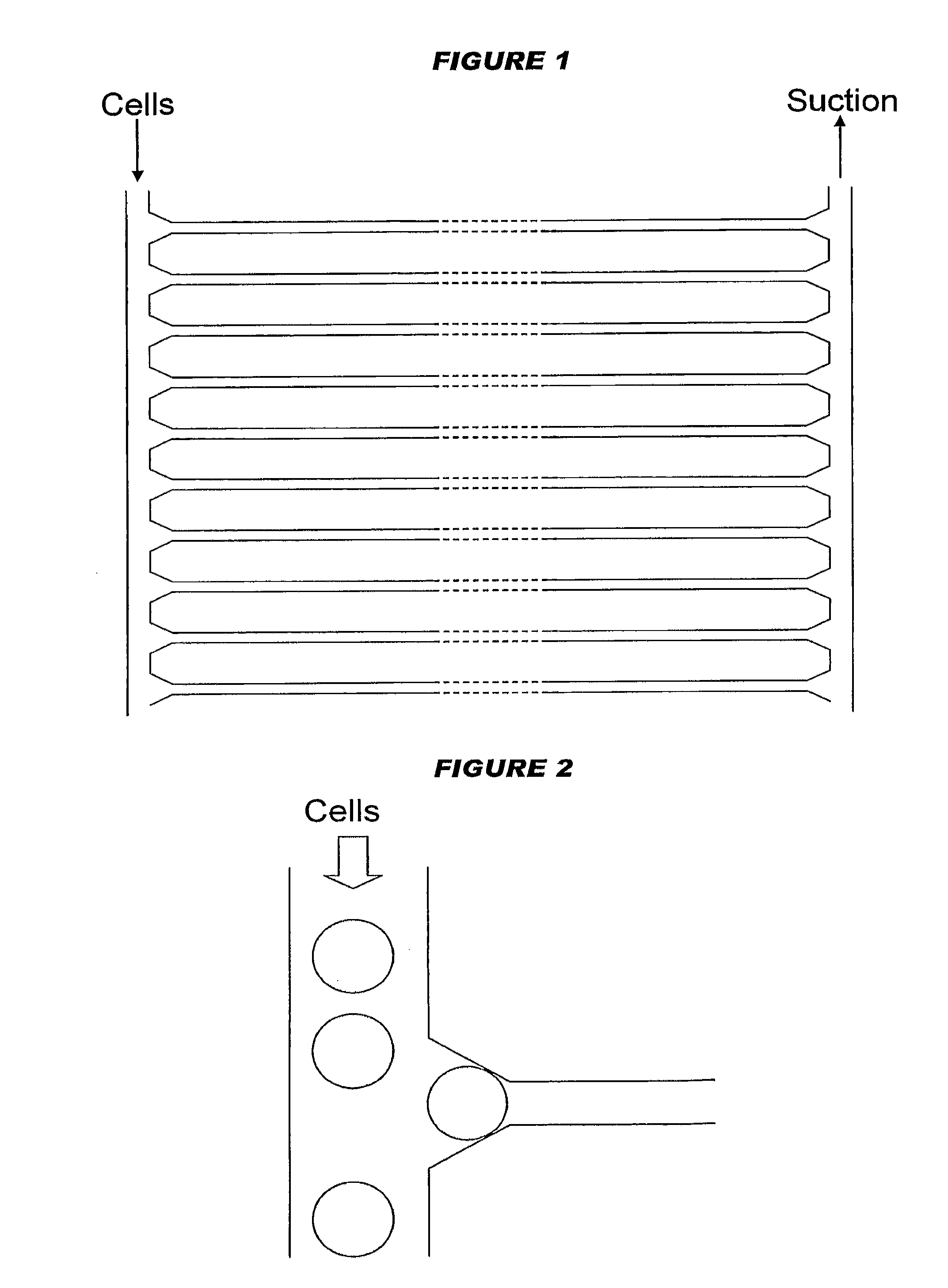Devices and processes for analysing individual cells