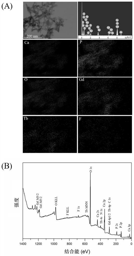 A method for synthesizing bimodal nano-hydroxyapatite using nucleic acid aptamer as a template