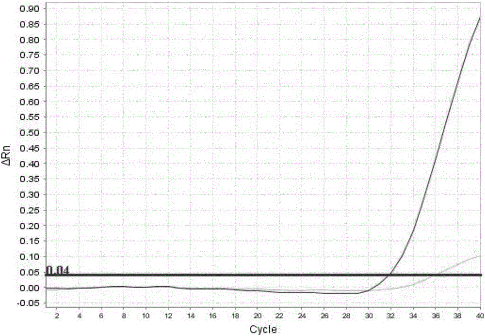 Fluorescent quantitative PCR reaction fluid and method