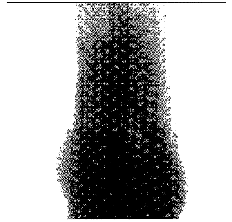 Method for carrying out scanning reconstruction on long target object by using Micro-CT imaging system