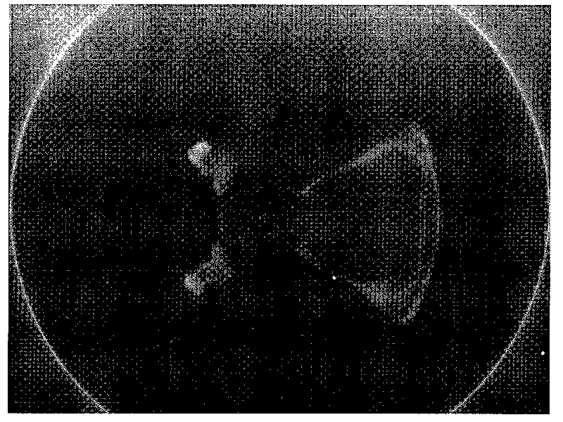 Method for carrying out scanning reconstruction on long target object by using Micro-CT imaging system