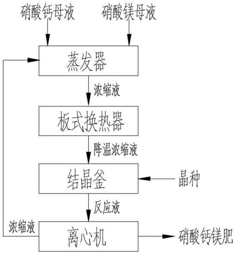 Calcium magnesium nitrate fertilizer and preparation method thereof