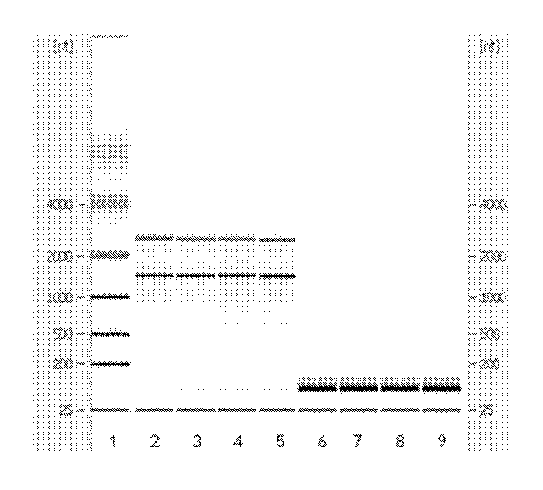 Method of separating small RNA molecules using kosmotropic salt