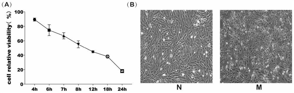 Application of ginseng-radix aconiti lateralis praeparata heart-strengthening pill in promotion of myocardial cell autophagy