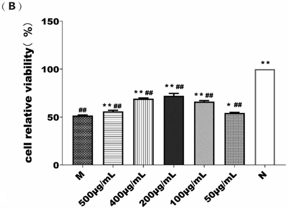 Application of ginseng-radix aconiti lateralis praeparata heart-strengthening pill in promotion of myocardial cell autophagy