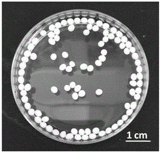 Preparation method of polyelectrolyte microcapsules