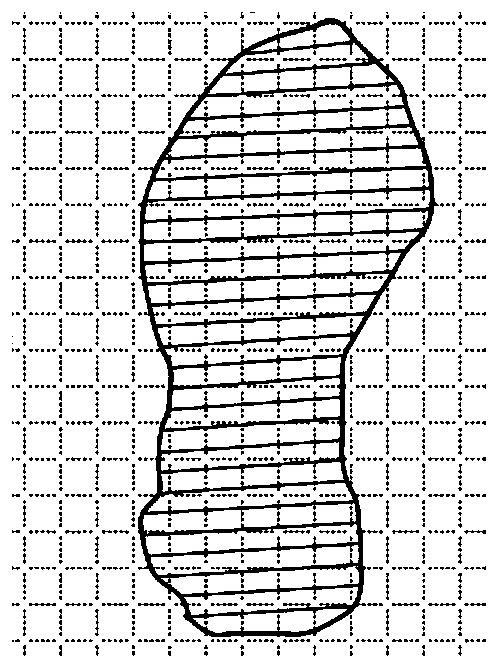 Dribble speed and dribble action detection device and method for basketball test