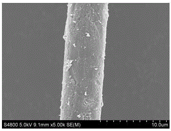 Iron-nitrogen-doped titanium dioxide-loaded carbon fiber composite photocatalyst and preparation method thereof