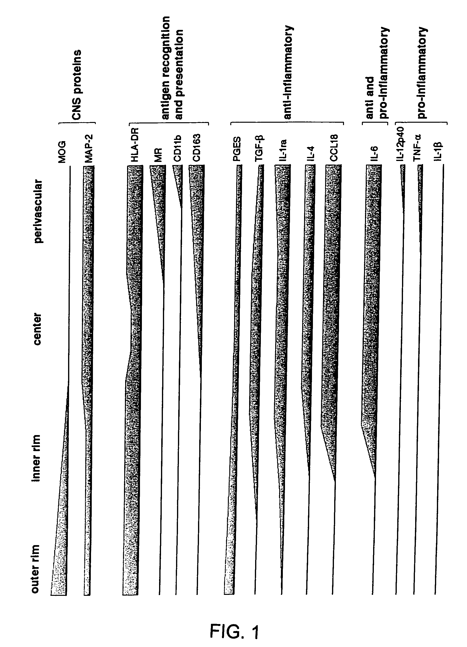 Compounds of therapeutic value in the treatment of multiple sclerosis and other diseases wherein foamy cells are involved in the disease etiology