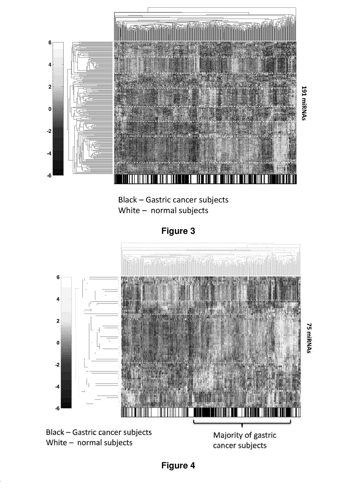 MicroRNA Biomarker for the Diagnosis of Gastric Cancer