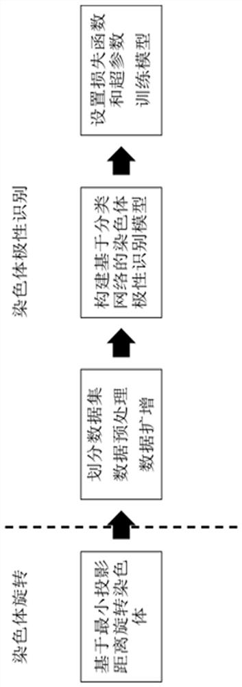 A deep learning-based chromosome polarity identification method and system