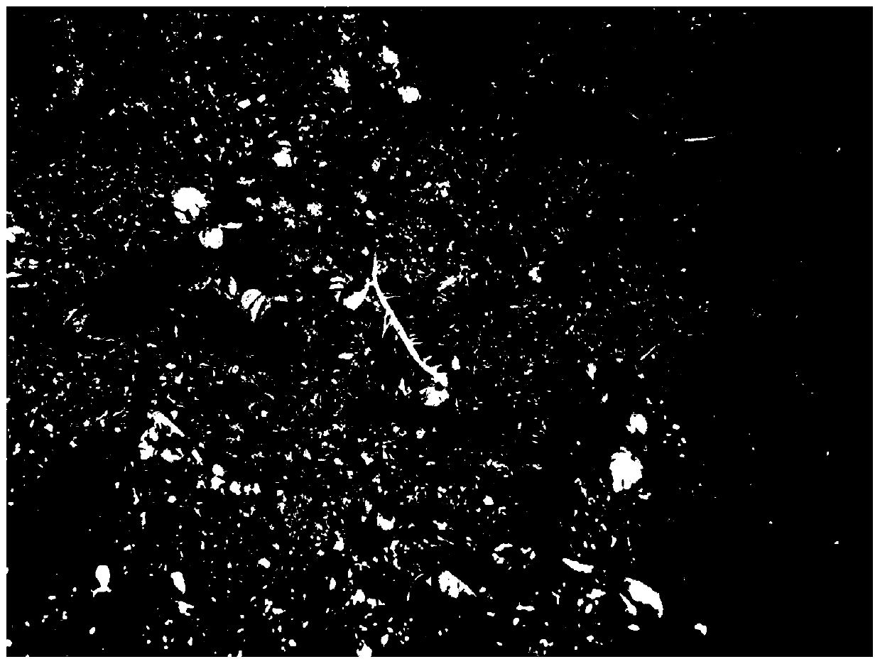 A method for rapid propagation of virus-free potato seedlings in an open factory