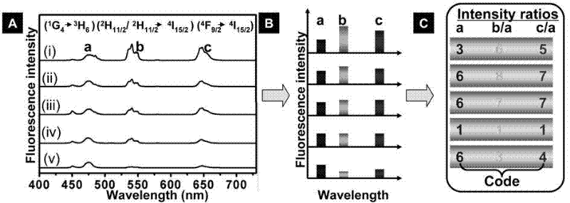 Rare earth-doped upconversion nanometer crystal-based fluorescent coding microspheres and preparation method thereof