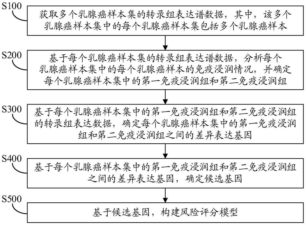 Breast cancer prognosis model construction method, breast cancer prognosis model application method and electronic equipment