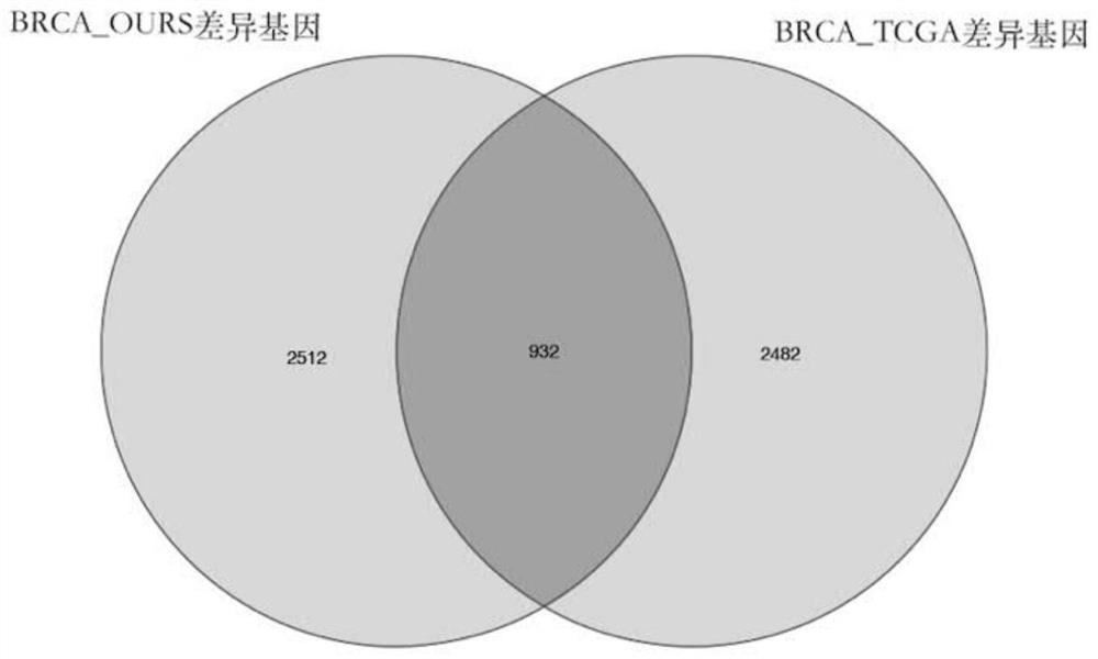 Breast cancer prognosis model construction method, breast cancer prognosis model application method and electronic equipment