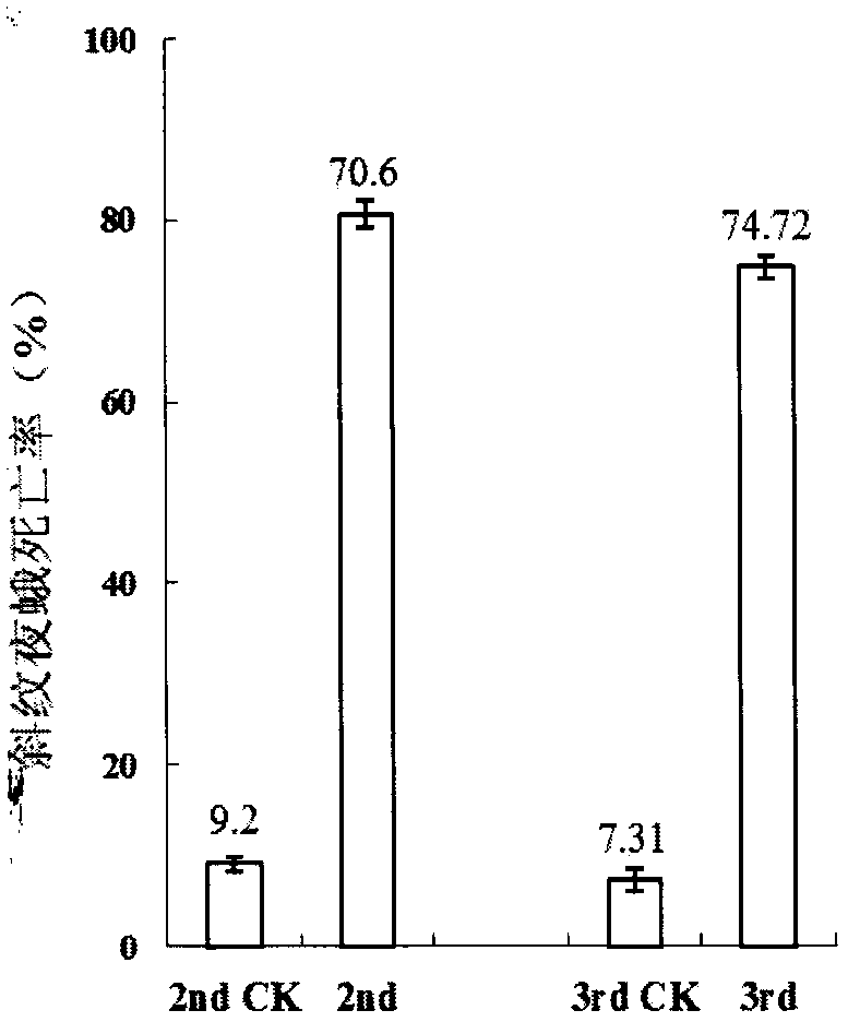 A strain pr-nj01 with insecticidal activity and its production and application of insecticide