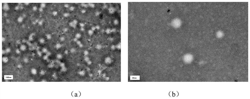 A preparation method of modified cyclodextrin/carboxymethyl chitosan nanoparticles stably embedding anthocyanins