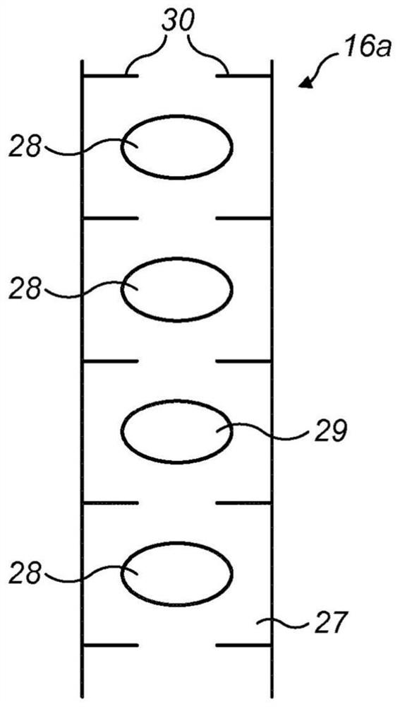 Dry powder inhaler with blister bursting device