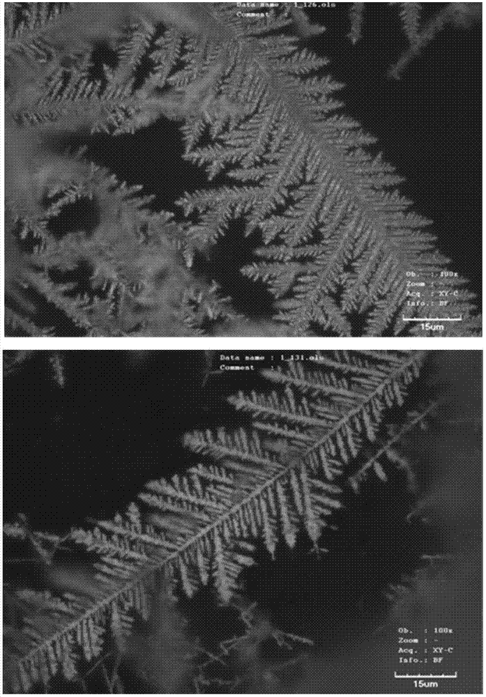 Preparation method of micro/nano dendritic silver super-hydrophilicity film and application of film in surface enhanced Raman substrate