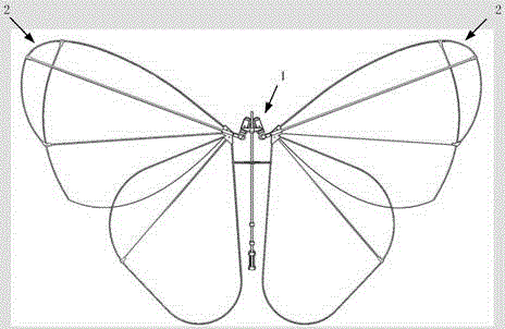 Novel bionic butterfly aircraft with independently driven double wings