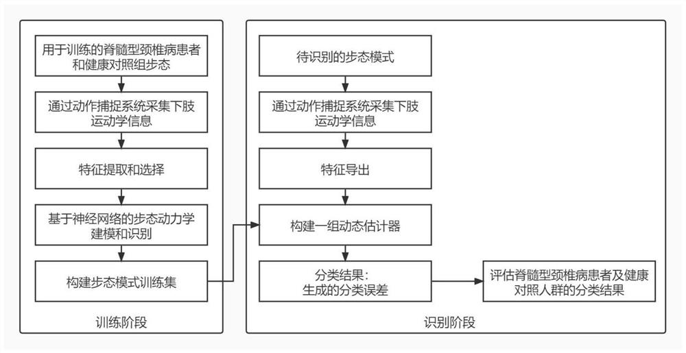 Cervical spinal spondylopathy auxiliary diagnosis system based on gait analysis and deterministic learning