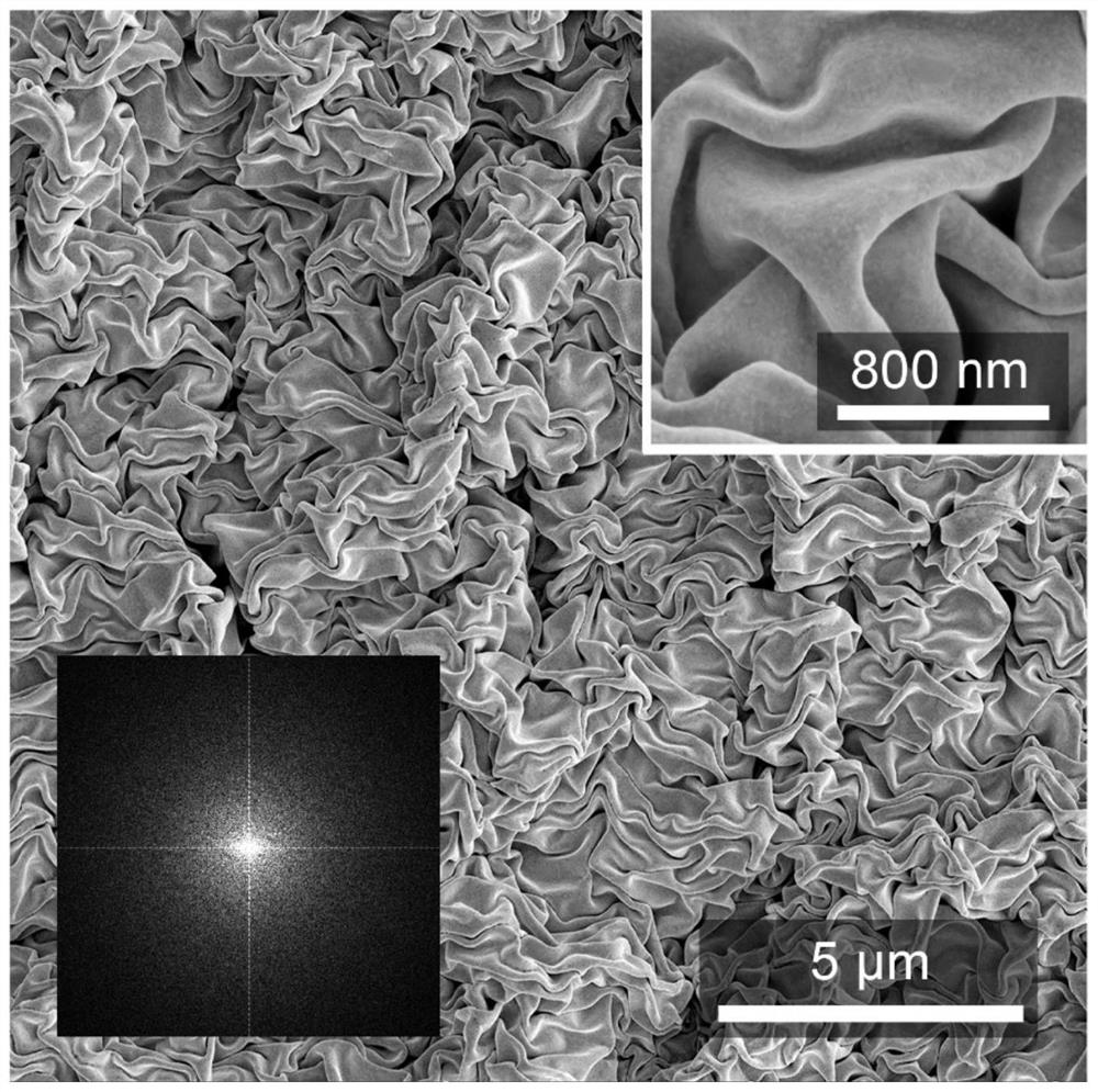 Stimuli-responsive polymer grafted wrinkled smart surface and its preparation method and application