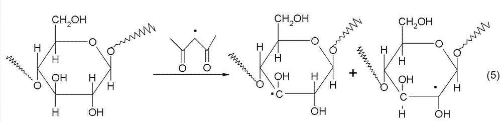Method for producing modified starch size through bio-enzyme
