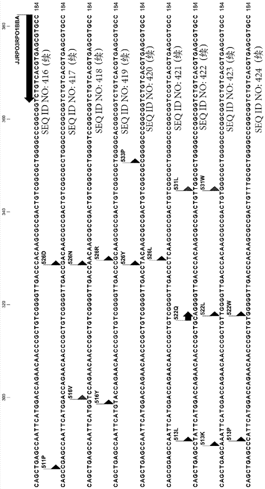 Compositions and methods for detection of drug resistant mycobacterium tuberculosis